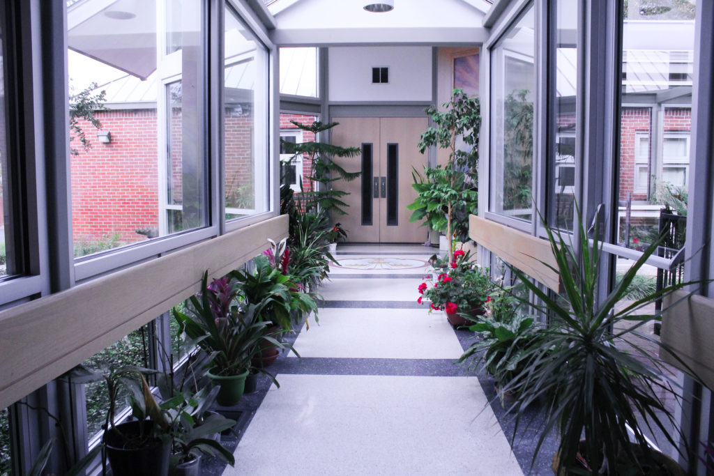 Indoor Garden
