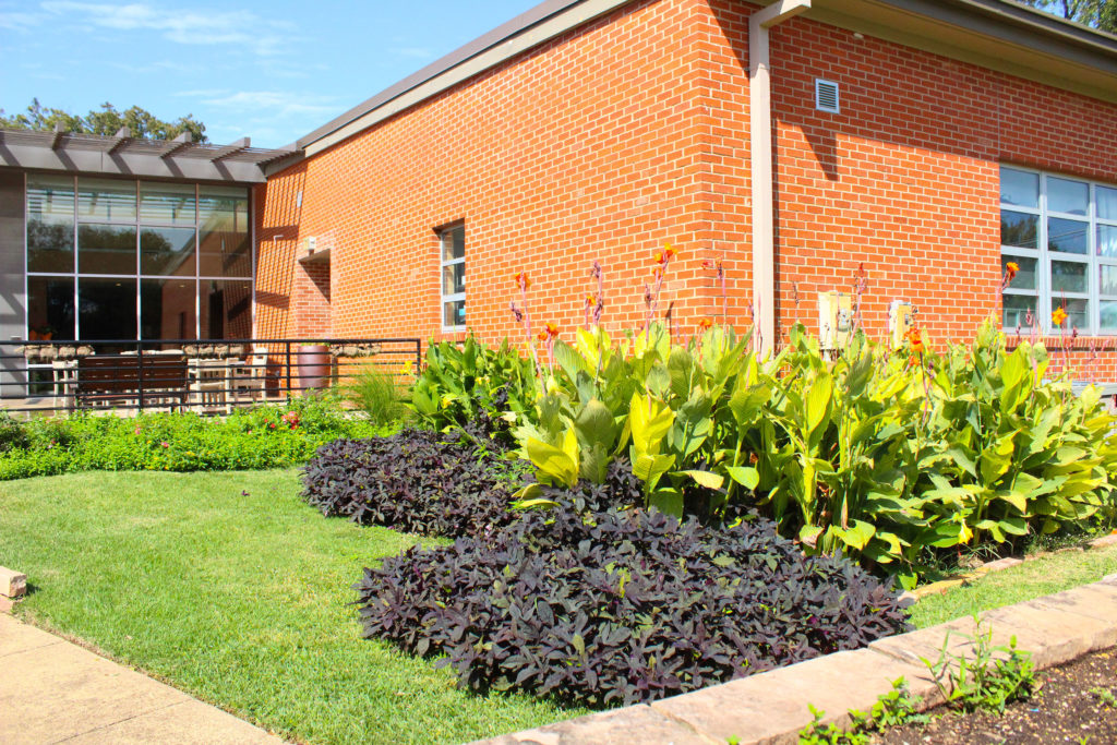 Outdoor Garden at St. Joseph's Residence
